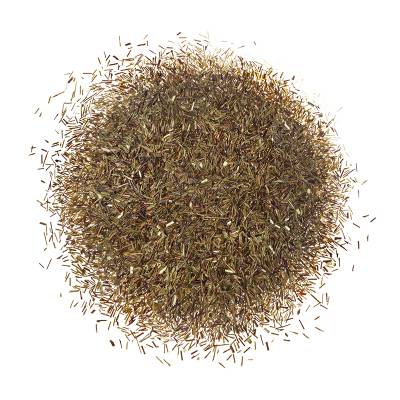 Rooibos Vert Bio