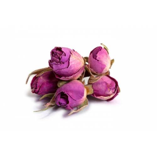 Bouton de Rose Bio