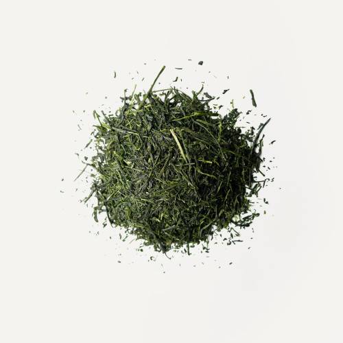 Sencha Saemidori 2025 Bio